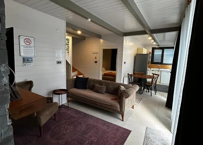 Bungarella Deluxe ספנג'ה