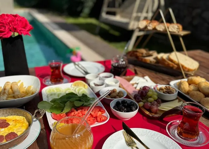 Bungarella Deluxe ספנג'ה