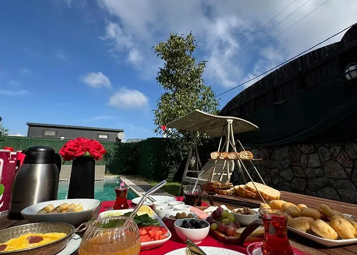 Bungarella Deluxe * ספנג'ה